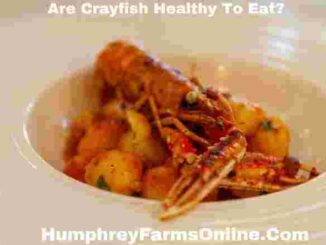 Are Crayfish Healthy To Eat