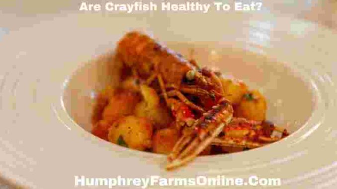 Are Crayfish Healthy To Eat