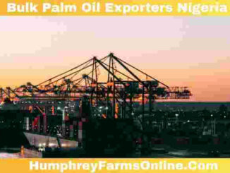 Bulk Palm Oil Exporters Nigeria