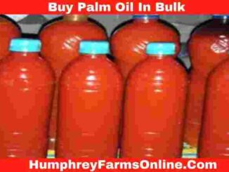 Buy Palm Oil In Bulk