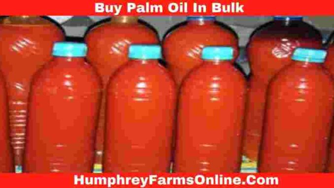 Buy Palm Oil In Bulk