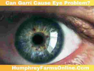 Can Garri Cause Eye Problem