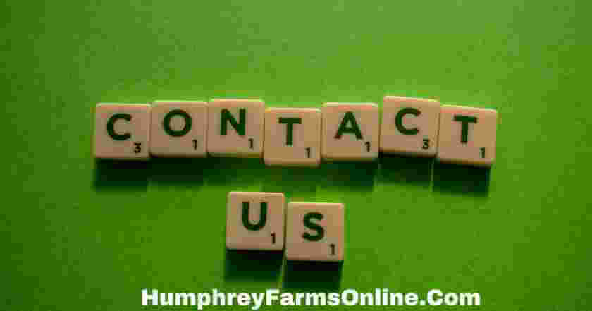 Contact Us