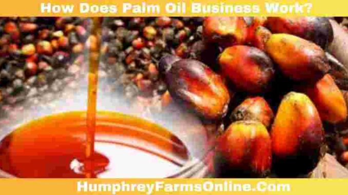 How Does Palm Oil Business Work