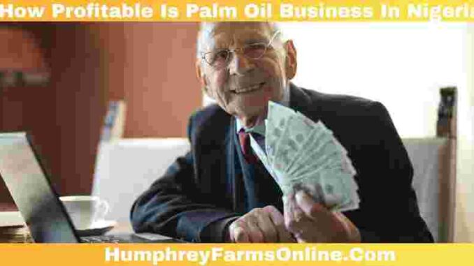 How Profitable Is Palm Oil Business In Nigeria