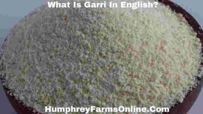 What Is Garri In English