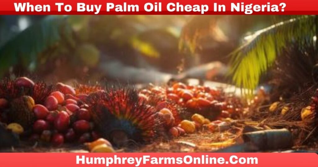 When To Buy Palm Oil Cheap In Nigeria