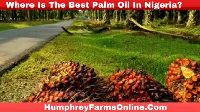 Where Is The Best Palm Oil In Nigeria