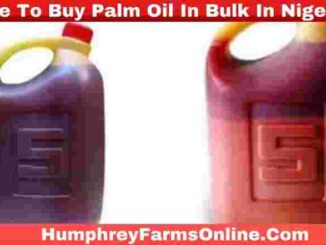 Where To Buy Palm Oil In Bulk In Nigeria