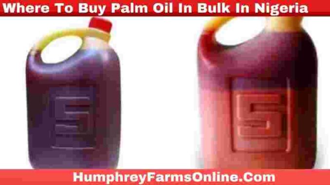 Where To Buy Palm Oil In Bulk In Nigeria