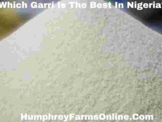 Which Garri Is The Best In Nigeria