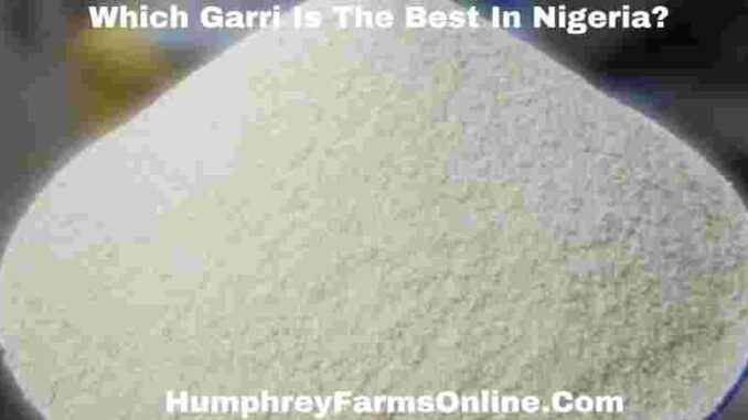 Which Garri Is The Best In Nigeria