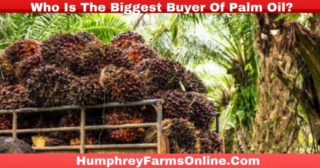 Who Is The Biggest Buyer Of Palm Oil