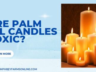 Are Palm Oil Candles Toxic