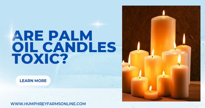 Are Palm Oil Candles Toxic