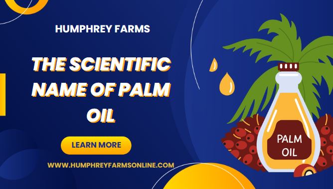 The Scientific Name of Palm Oil