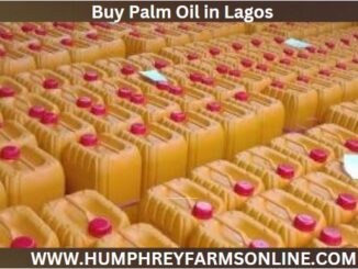 Buy Palm Oil in Lagos