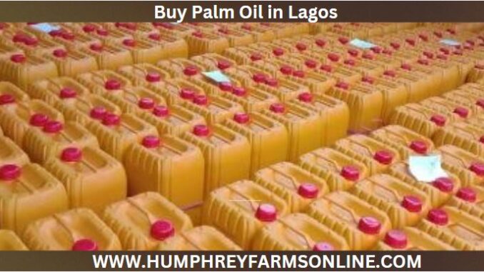 Buy Palm Oil in Lagos