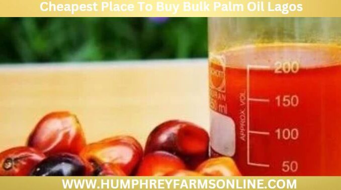 Cheapest Place To Buy Bulk Palm Oil Lagos