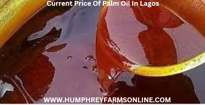 Current Price Of Palm Oil In Lagos