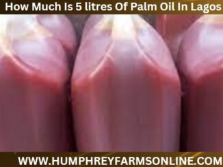 How Much Is 5 litres Of Palm Oil In Lagos