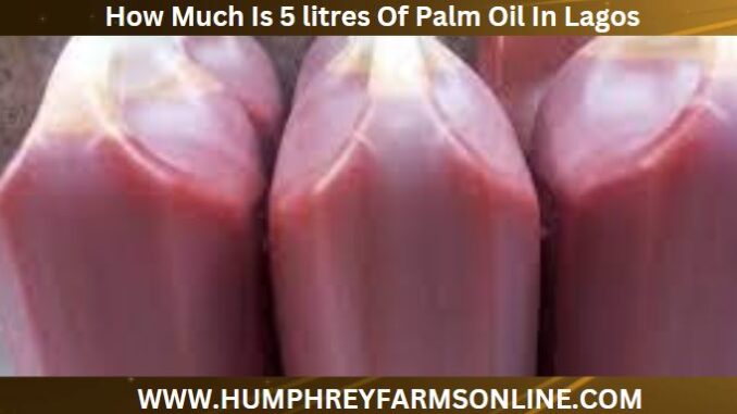 How Much Is 5 litres Of Palm Oil In Lagos