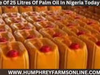 Price Of 25 Litres Of Palm Oil In Nigeria Today 2025