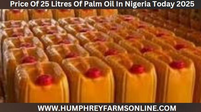 Price Of 25 Litres Of Palm Oil In Nigeria Today 2025