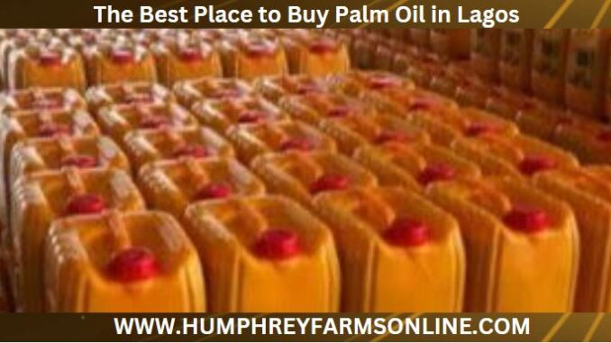 The Best Place to Buy Palm Oil in Lagos