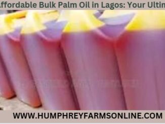 Where Can I Buy Bulk Palm Oil Lagos