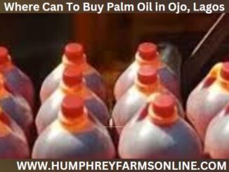 Where Can I Buy Palm Oil Ojo Lagos