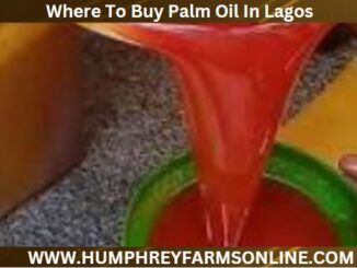 Where To Buy Palm Oil In Lagos