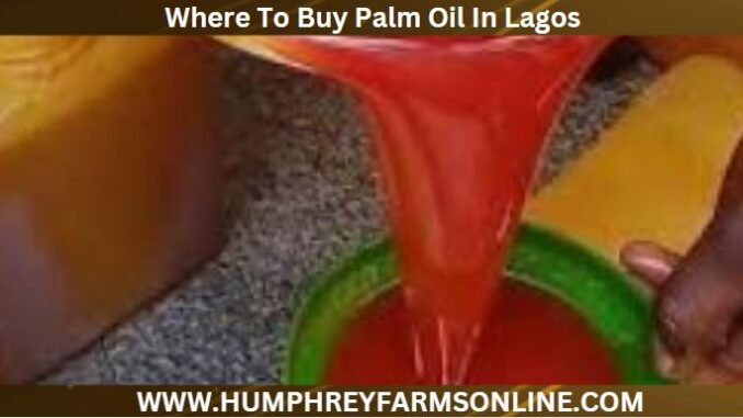 Where To Buy Palm Oil In Lagos