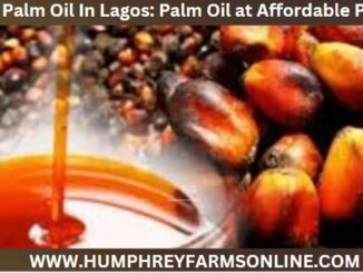 Best Palm Oil In Lagos