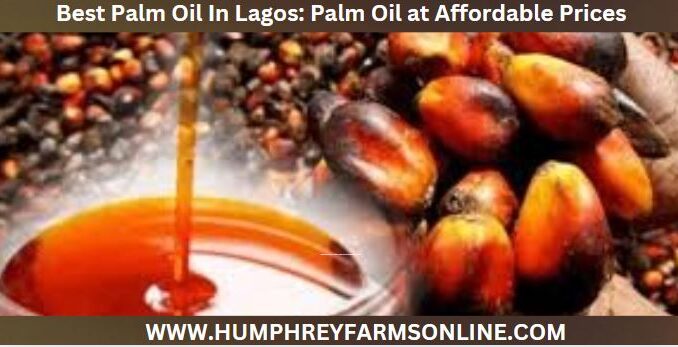 Best Palm Oil In Lagos