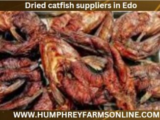 Dried catfish suppliers in Edo