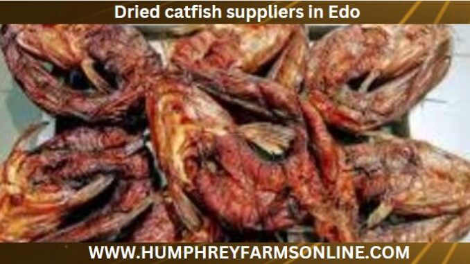 Dried catfish suppliers in Edo