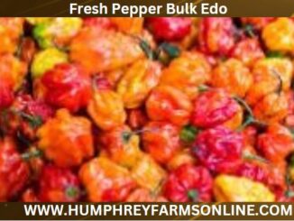 Fresh Pepper Bulk Edo