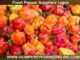 Fresh Pepper Suppliers Lagos