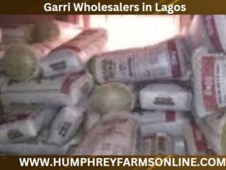 Bulk garri suppliers Edo