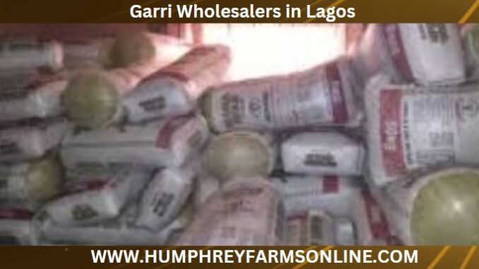 Bulk garri suppliers Edo