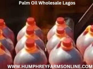 Palm Oil Wholesale Lagos