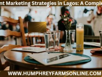 Restaurant Marketing Strategies in Lagos