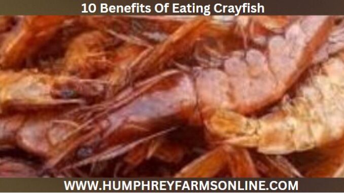 What Are The Benefits Of Eating Crayfish