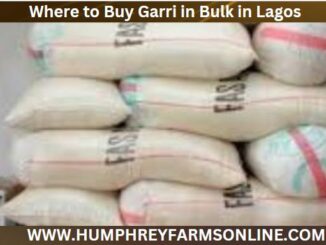 Buy Garri In Bulk