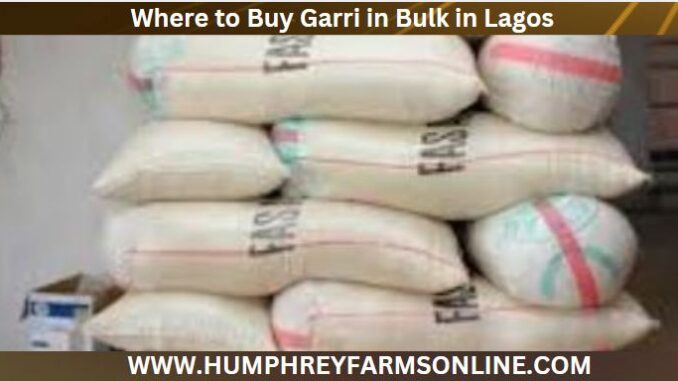 Buy Garri In Bulk