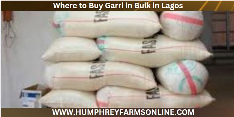 Buy Garri In Bulk