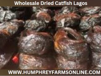 Wholesale Dried Catfish Lagos