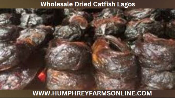 Wholesale Dried Catfish Lagos